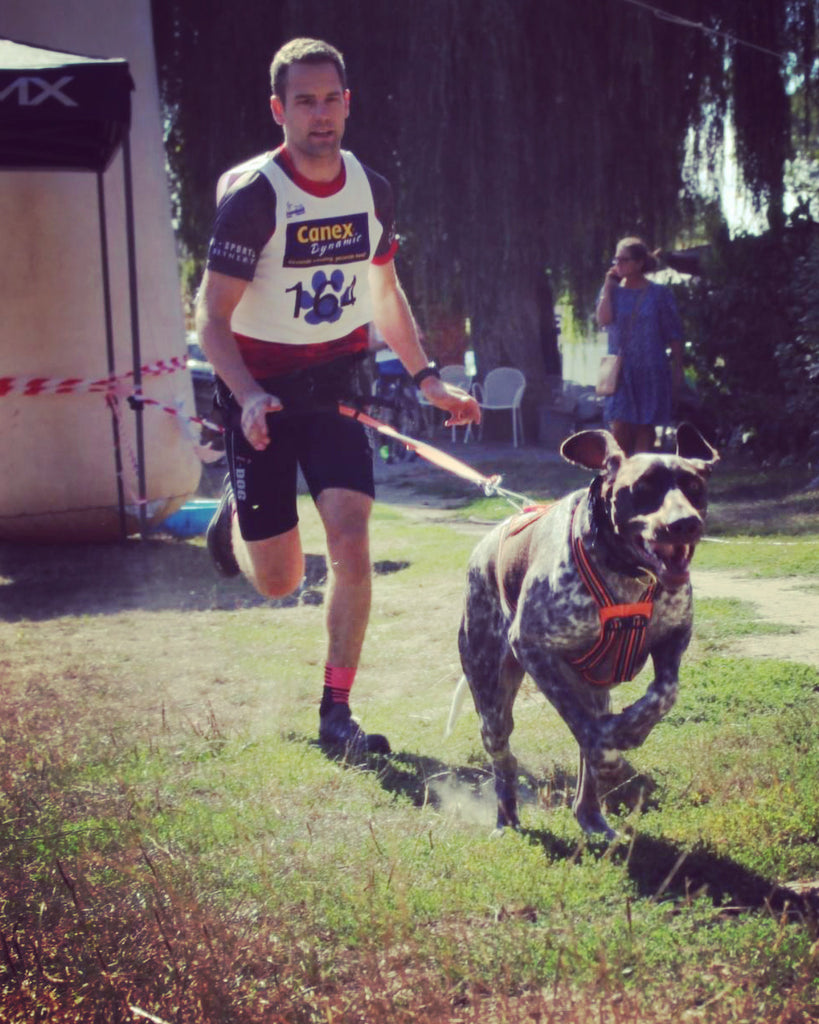 Comment s'améliorer en canicross ?