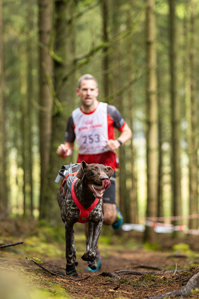 Le canicross, c’est bon pour la tête (pas que pour les jambes) !