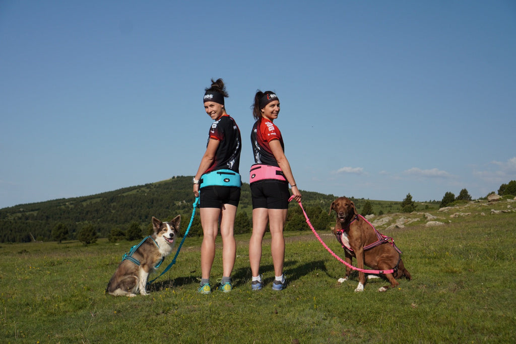 Sport canin : 5 erreurs courantes à éviter pour vous et votre chien 🐾