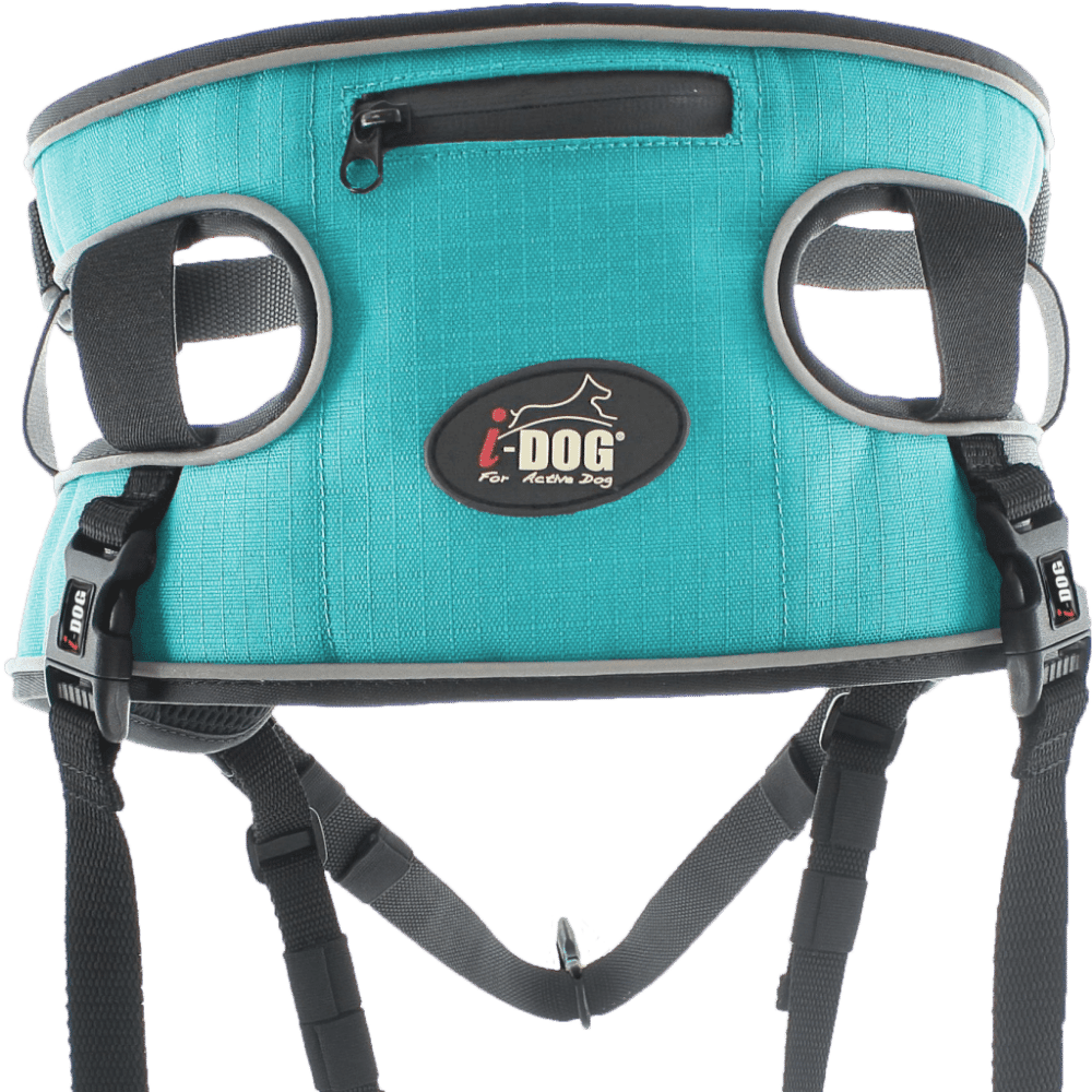 Baudrier Canyon i-dog