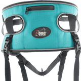 Baudrier Canyon i-dog