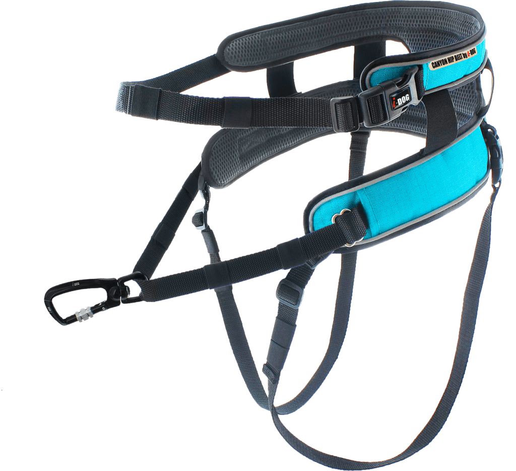 Baudrier Canyon i-dog - Cani-Shop du Beynert