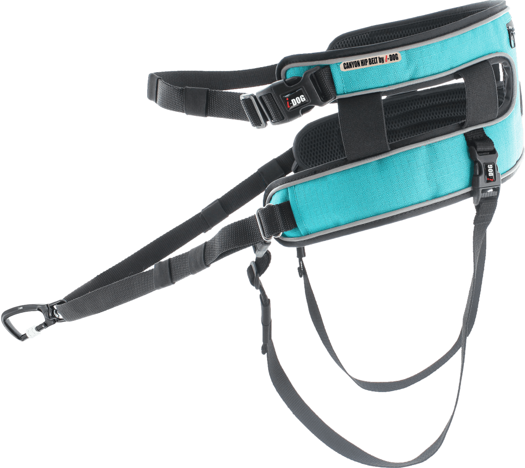 Baudrier Canyon i-dog - Cani-Shop du Beynert