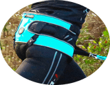 Baudrier Canyon i-dog - Cani-Shop du Beynert