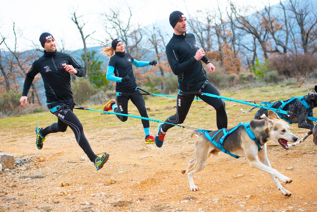 Canicross : Comment apprendre à son chien à tracter ?