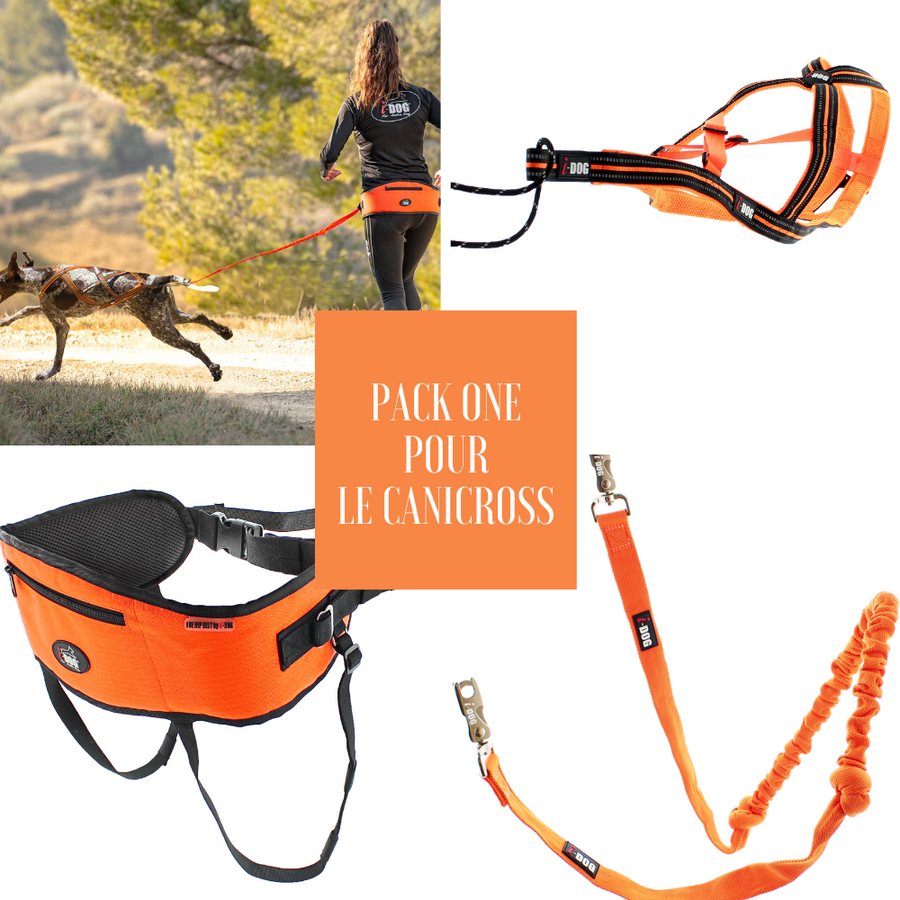 Matériel canicross 2025
