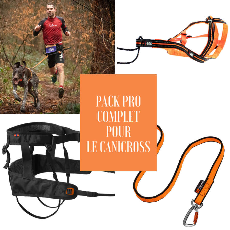 Matériel de canicross online