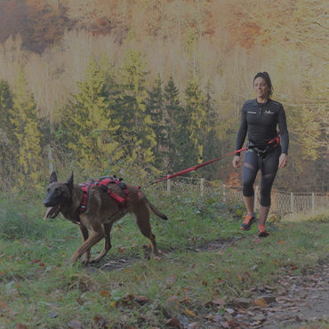GPS pour chien Weenect Dogs 2 – Cani-Shop du Beynert