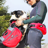 Le pack complet pour la Cani-Randonnée ou promenade confortable