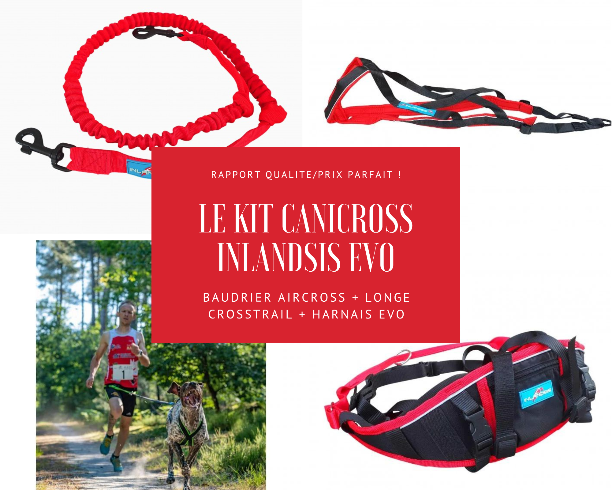Pack complet Inlandsis Evo pour le canicross