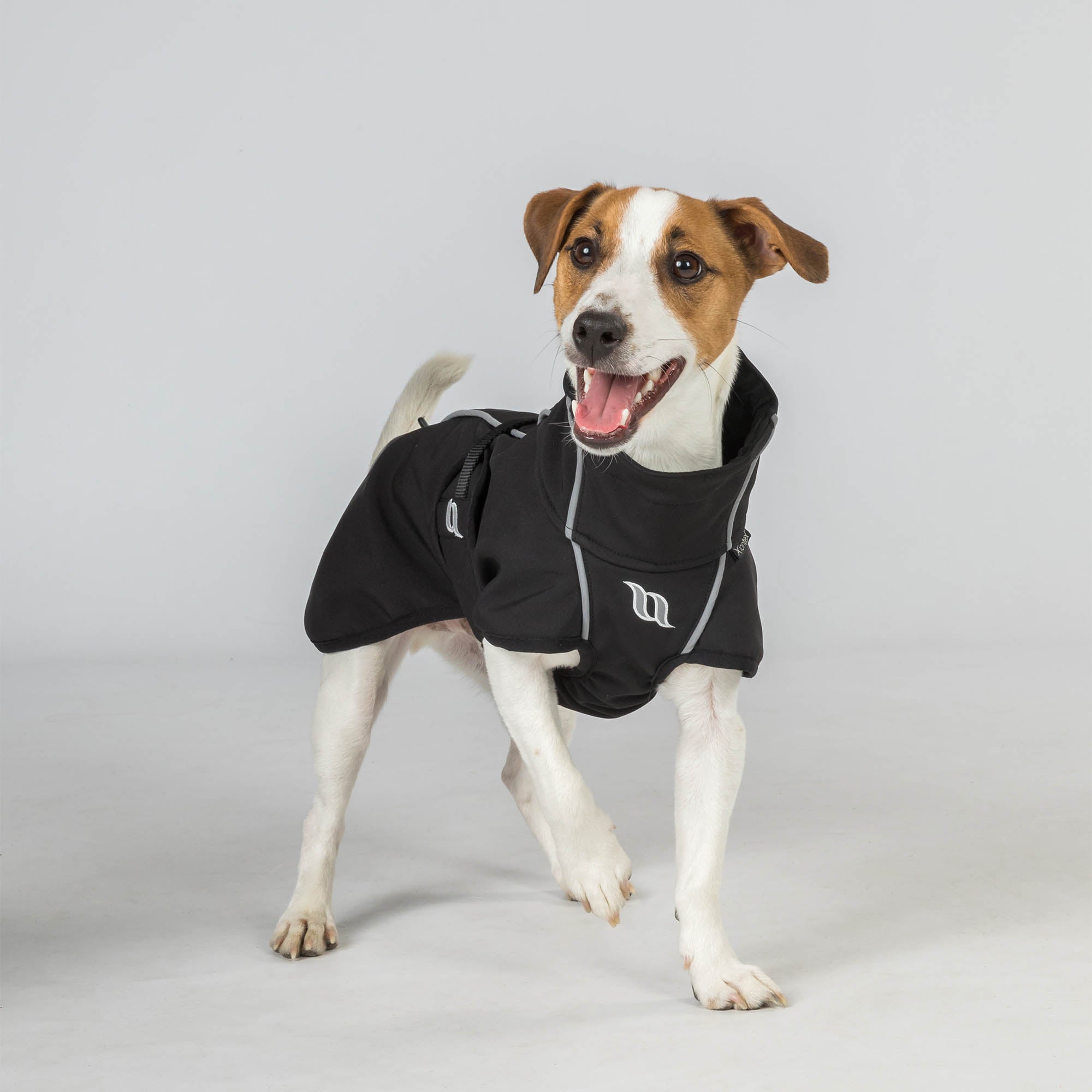 back on track manteau chien