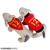 Accessoires pour chiens aux couleurs des Diables Rouges - Cani-Shop du Beynert