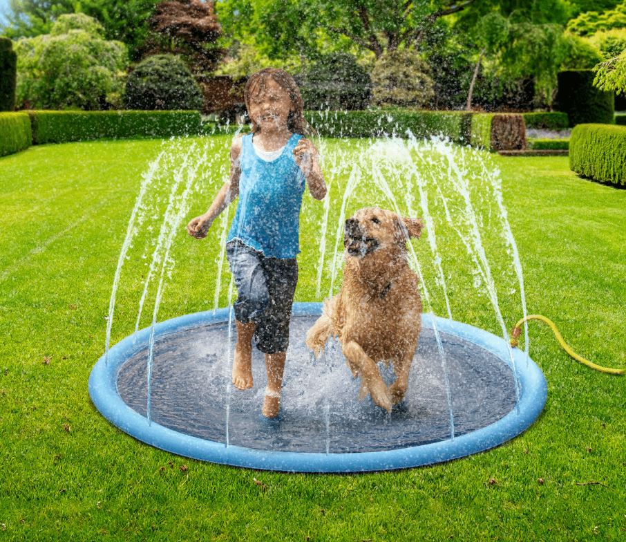 Fontaine à eau pour chien