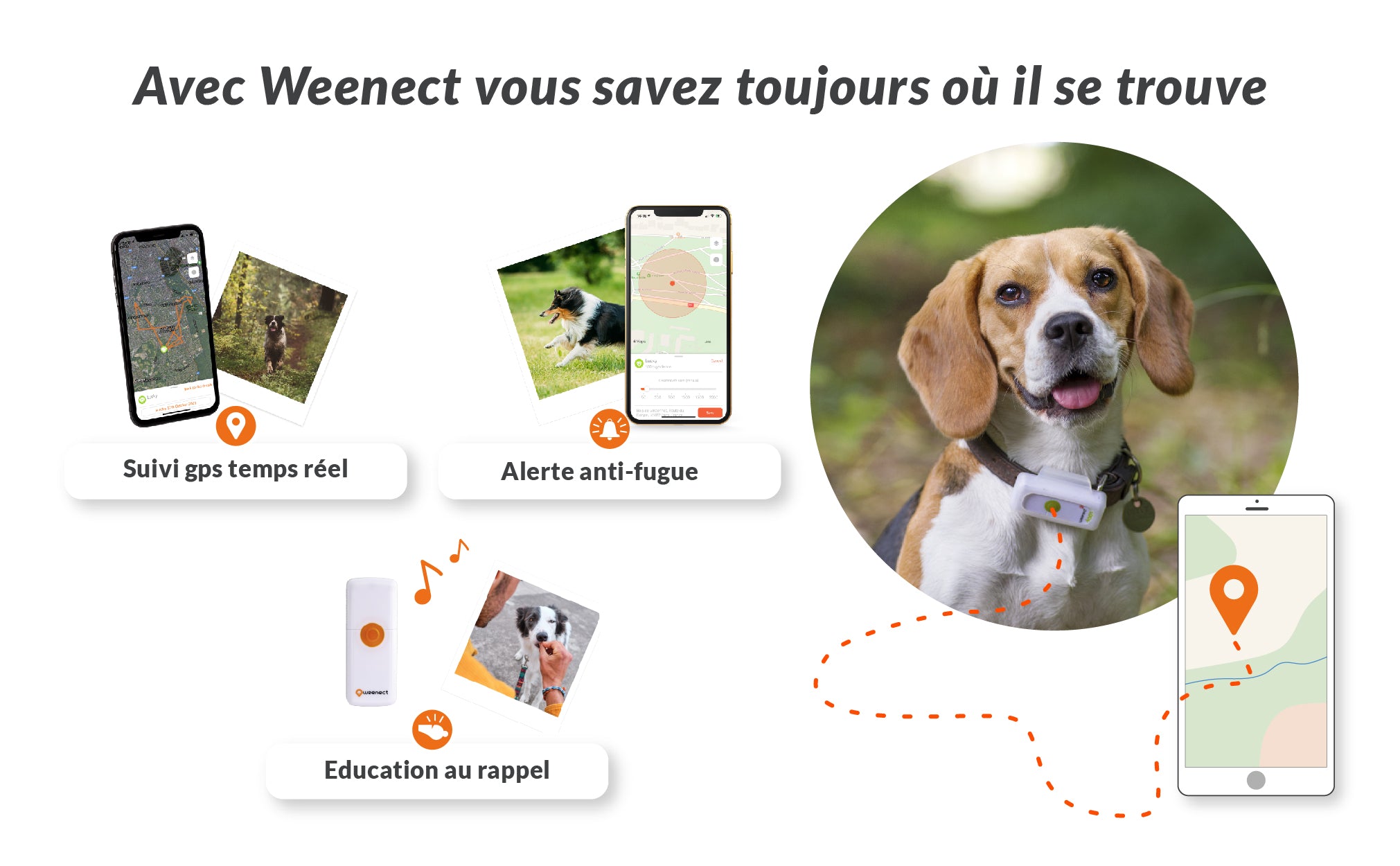 Balise GPS pour Chien - Weenect Dogs