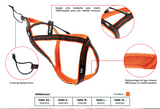 Harnais X-Back ONE (V1 non réglable)