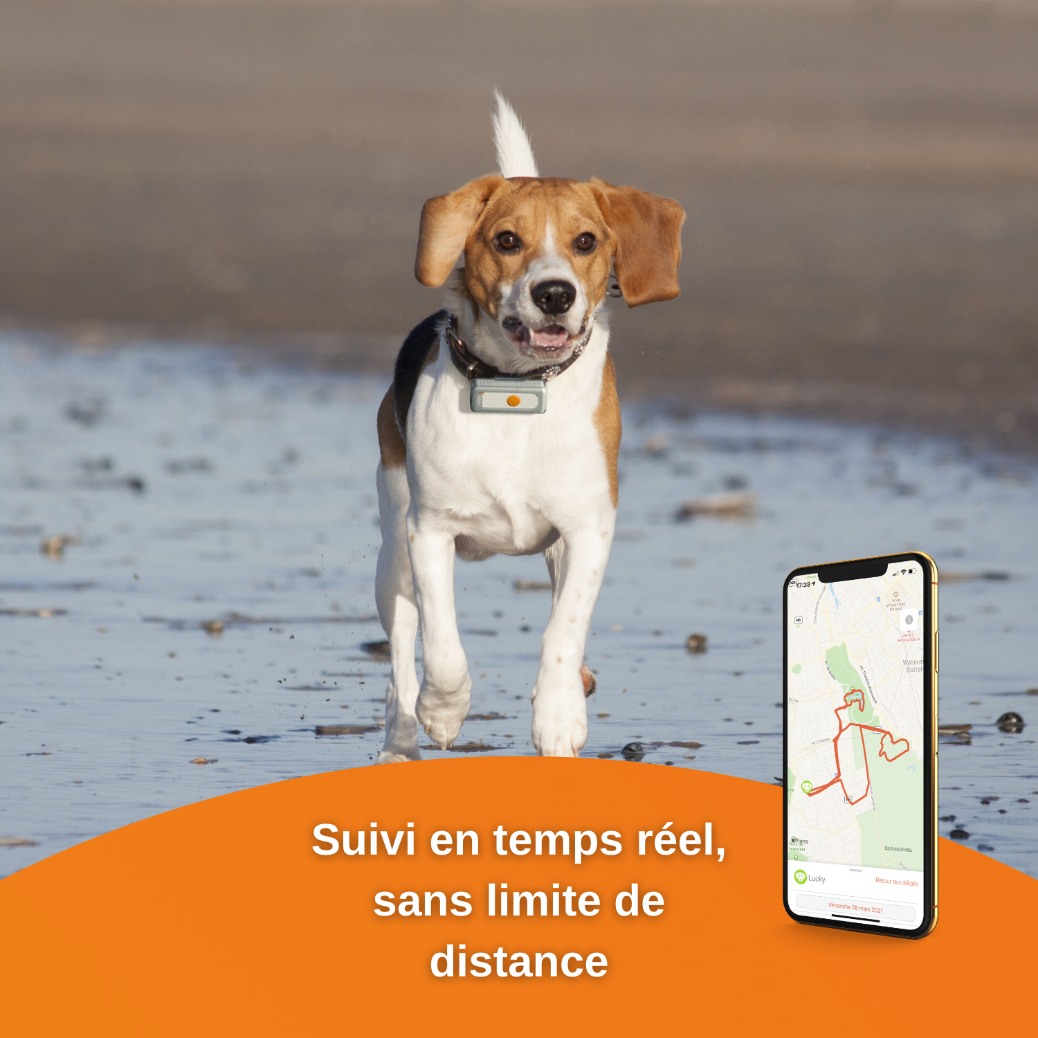 GPS pour chien Weenect Dogs 2