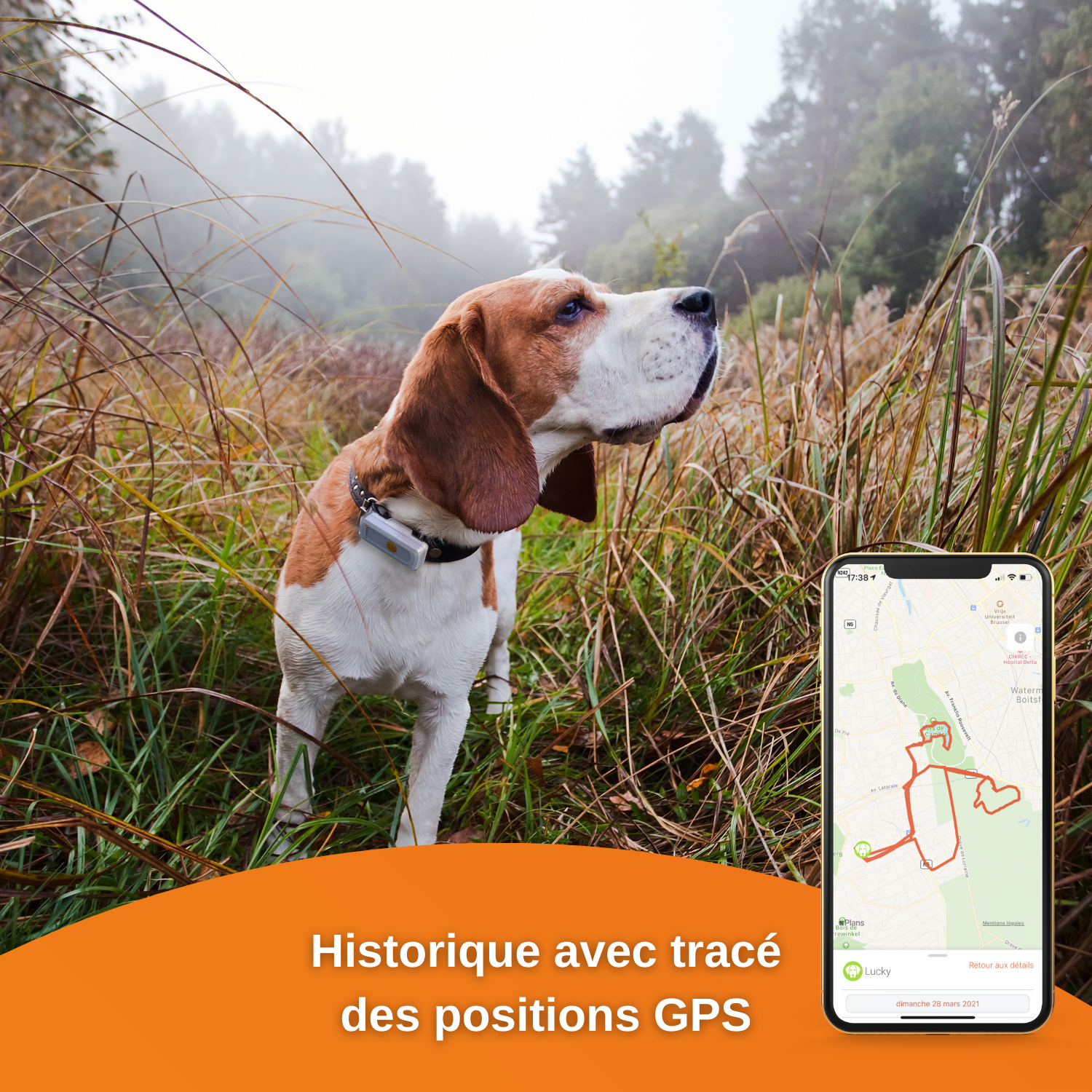 Weenect Dogs 2 Traceur GPS pour chien