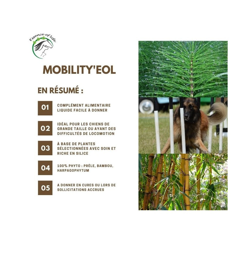 Mobility'eol