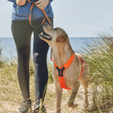 Harnais Line Harness 5.0 Non-Stop Dogwear