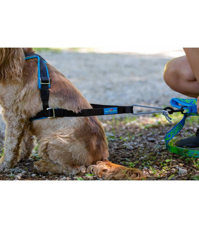 Harnais Anti-traction Pour Petit Chien Avec Laisse - Réglable, Doux, Pour Chihuahua, Yorkshire, Etc., Taille S
