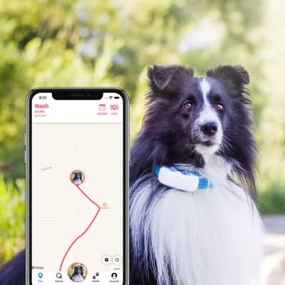 Tractive GPS DOG 4 - Traceur GPS pour chien avec suivi d'activité et housse  phosphorescente